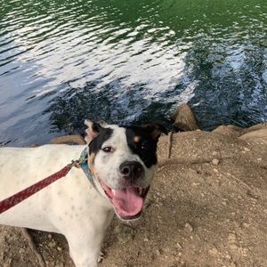 Meet your Posher, Annabelle